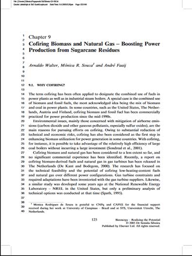 Co-firing Biomass and Natural Gas - Boosting Power Production from Sugarcane Residues (371kb)